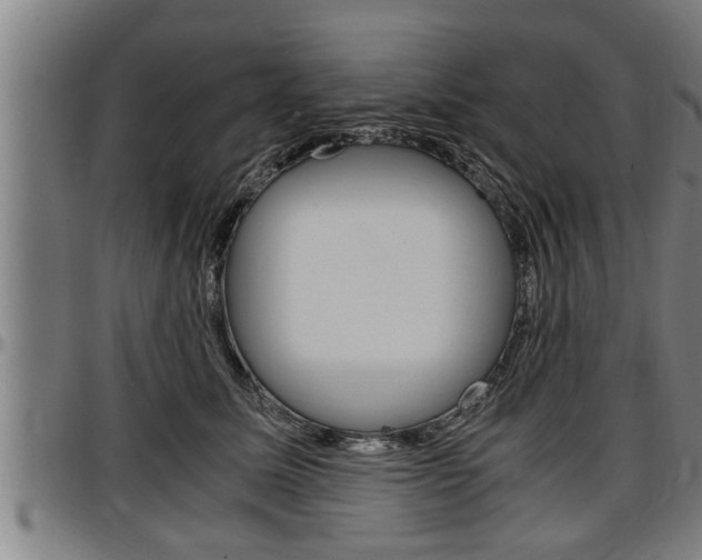 X0000097500611200802220843