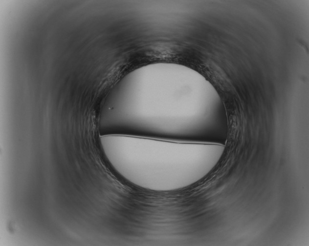 X0000097500612200802220843