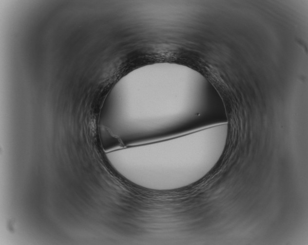 X0000097500613200802220843