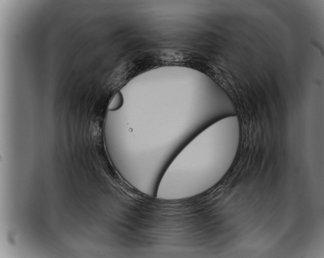 X0000097500614200802220843