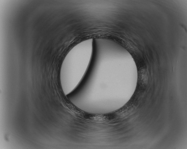 X0000097500615200802220843