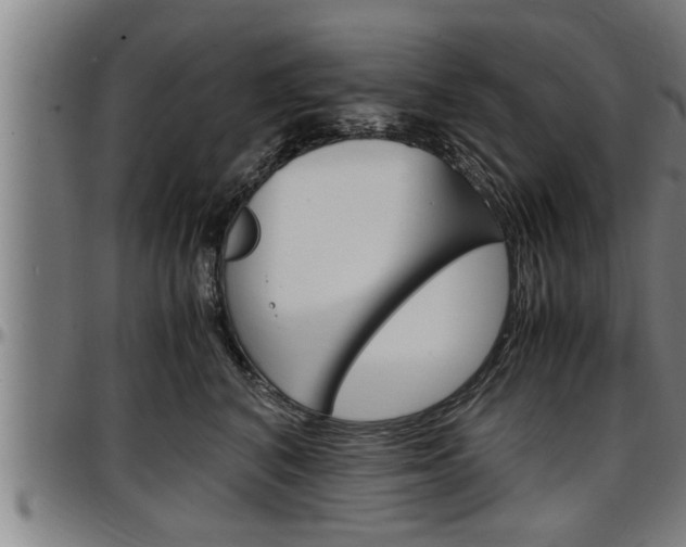 X0000097500616200802220843