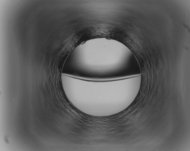 X0000097500617200802220843