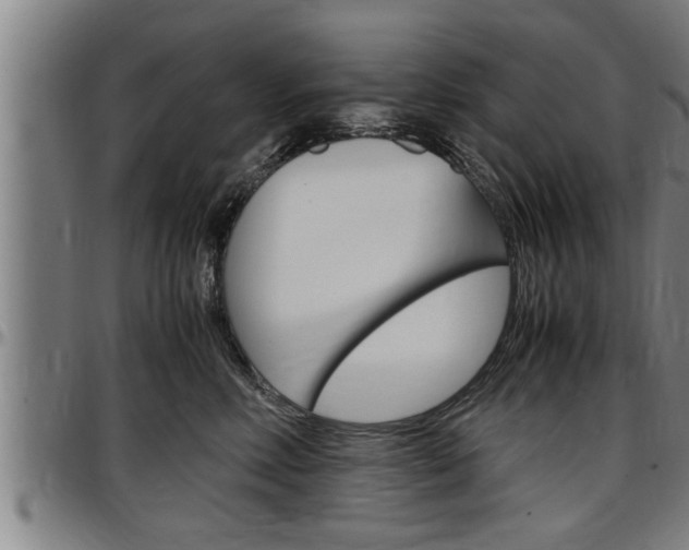 X0000097500618200802220843