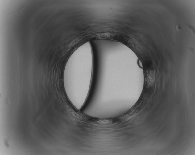 X0000097500619200802220843