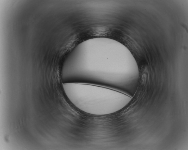 X0000097500620200802220843
