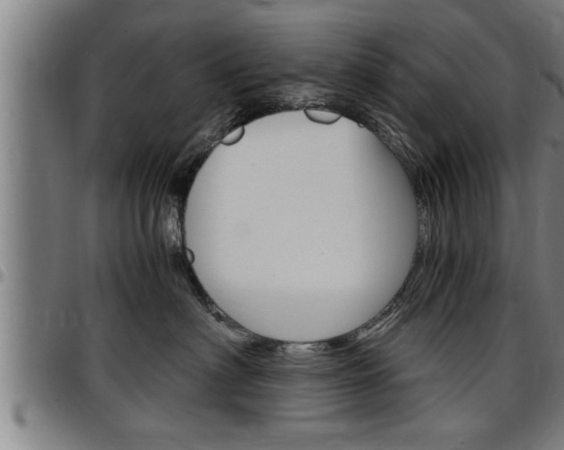 X0000097500622200802220843