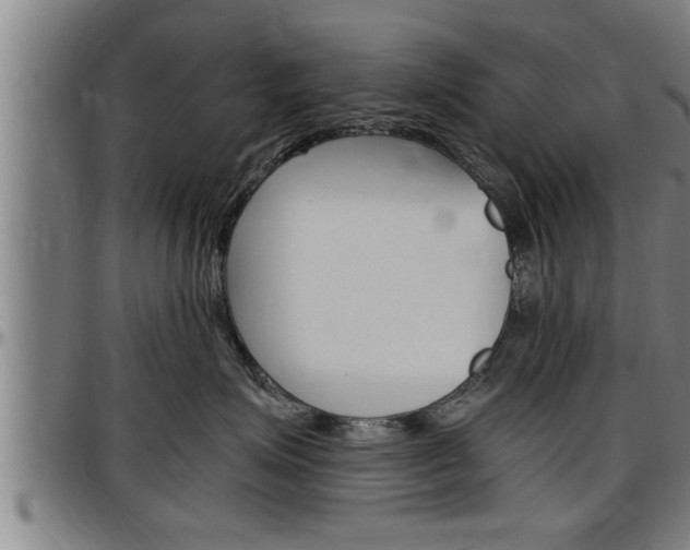 X0000097500623200802220843
