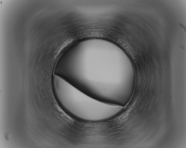 X0000097500625200802220842