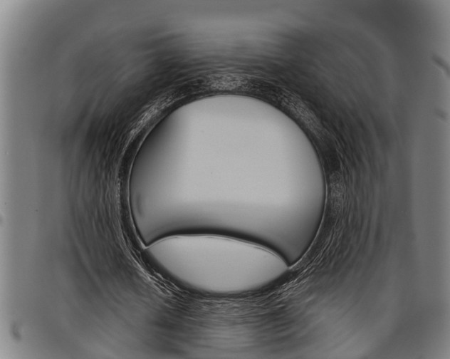 X0000097500626200802220842