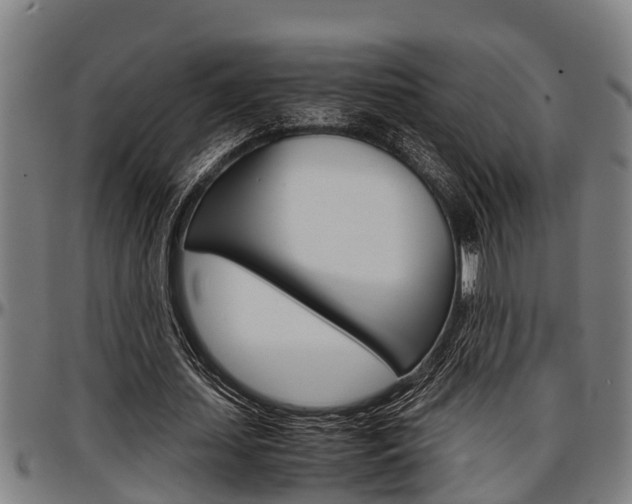 X0000097500627200802220842
