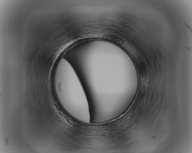 X0000097500628200802220842