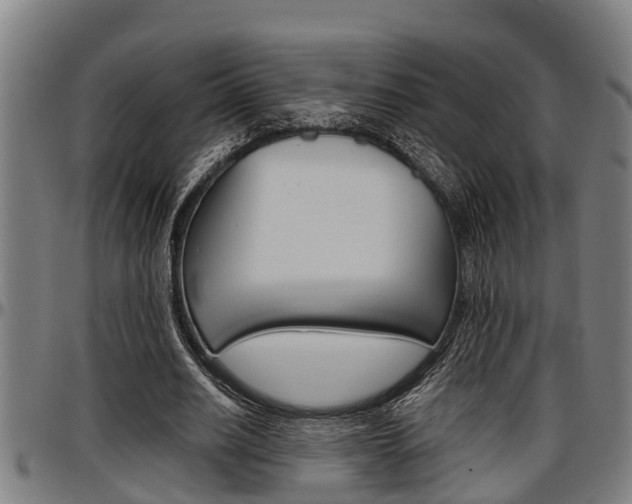 X0000097500630200802220842