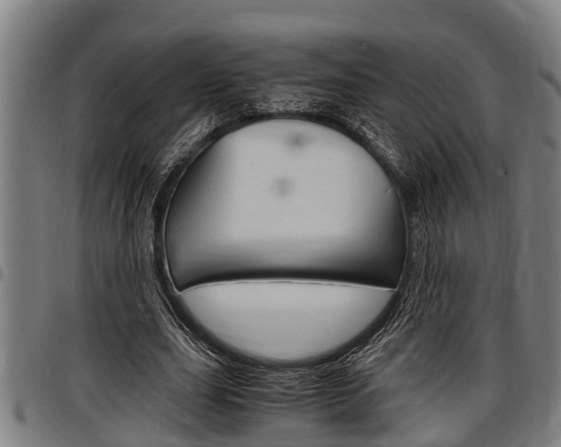 X0000097500631200802220842