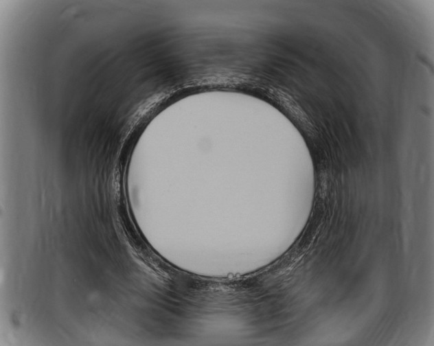 X0000097500632200802220842