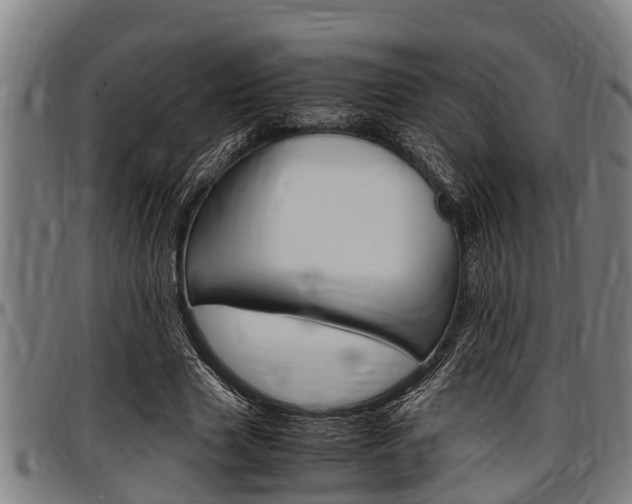 X0000097500633200802220842