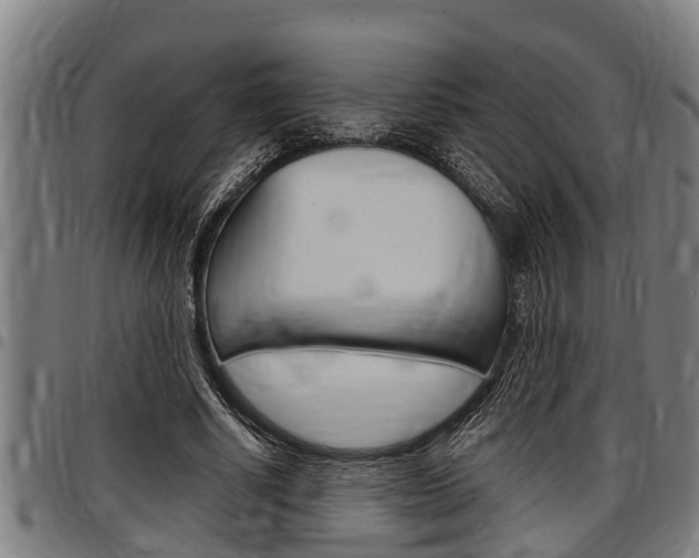 X0000097500634200802220842