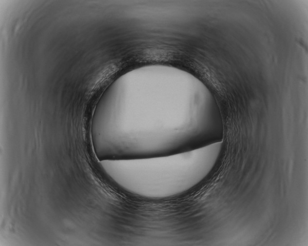 X0000097500635200802220842
