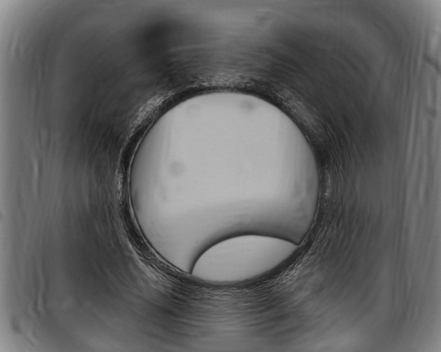X0000097500636200802220842