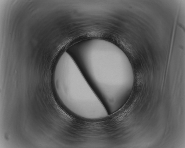 X0000097500637200802220842