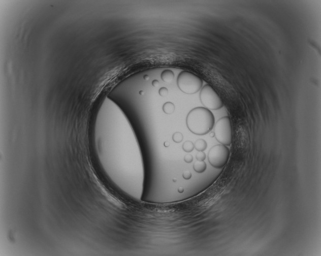 X0000097500638200802220842