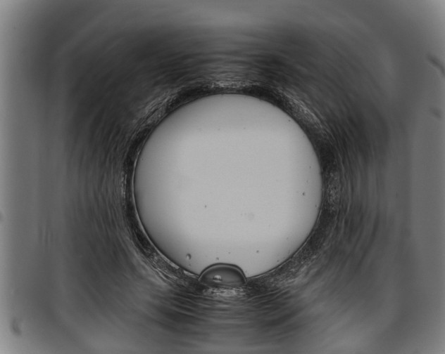 X0000097500639200802220842