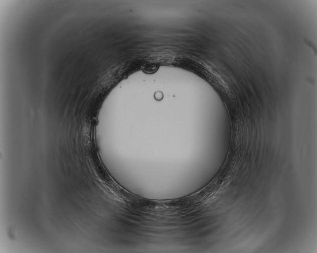 X0000097500641200802220843