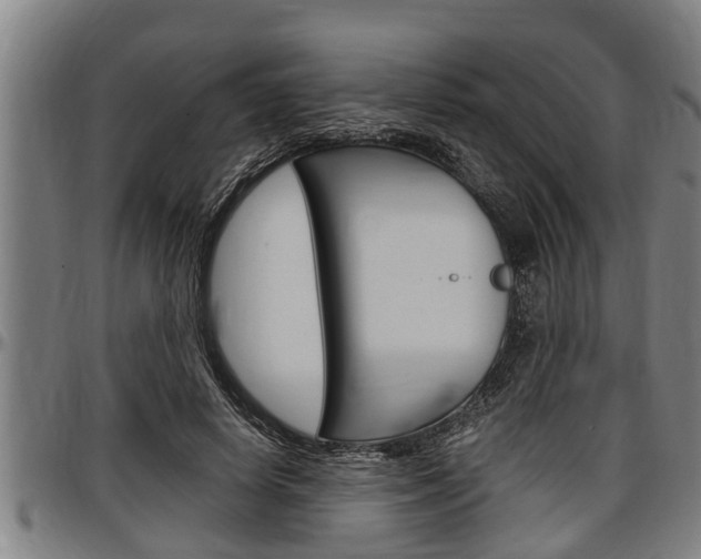 X0000097500642200802220843