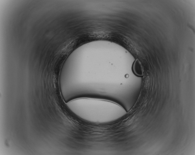 X0000097500643200802220843