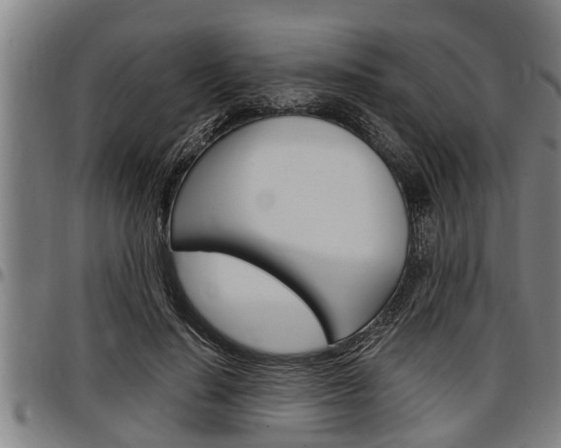 X0000097500644200802220843