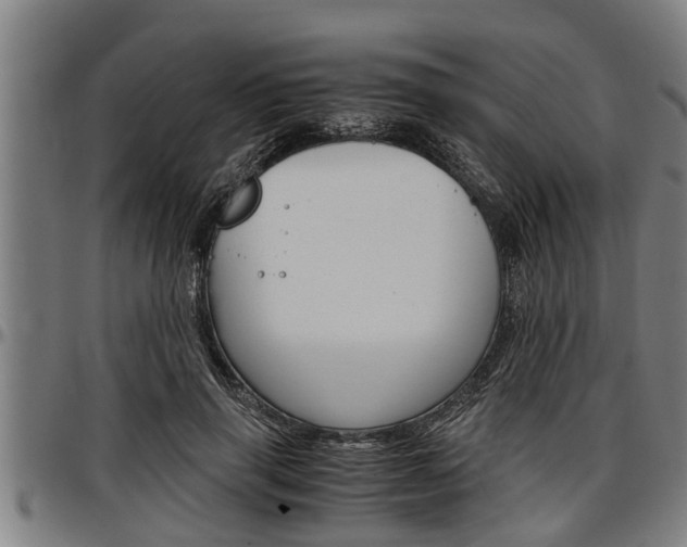 X0000097500645200802220843