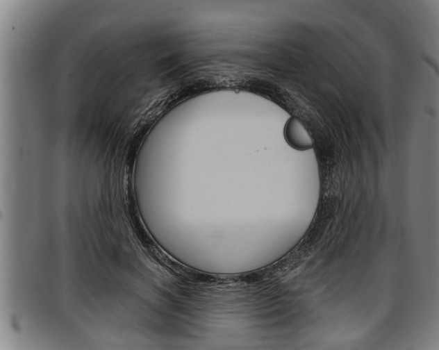 X0000097500646200802220843