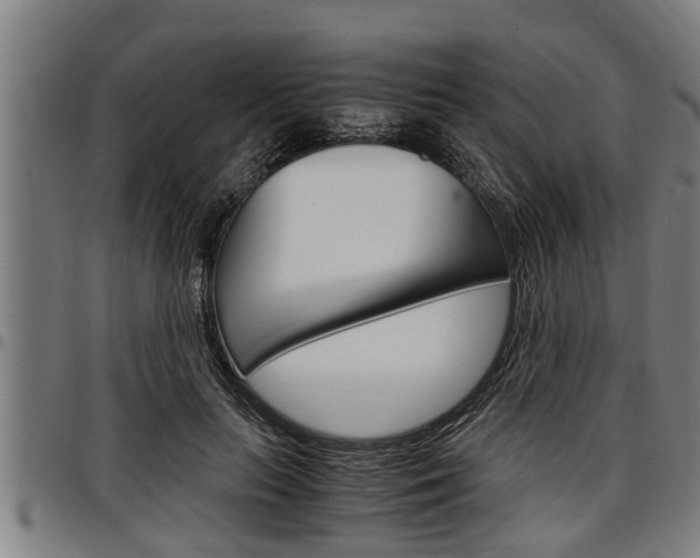 X0000097500647200802220843