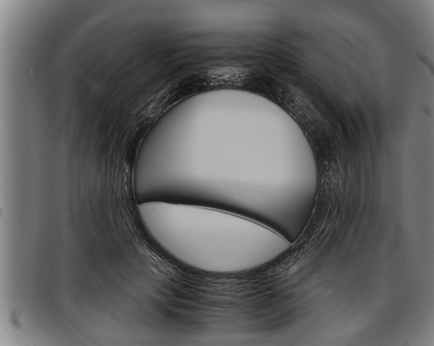 X0000097500649200802220843