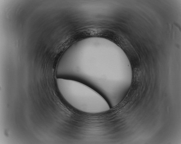X0000097500650200802220843