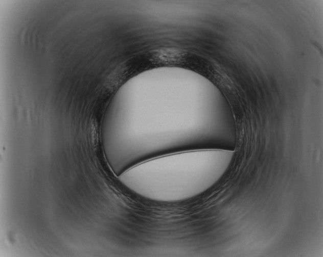 X0000097500651200802220843