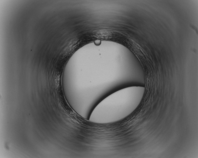 X0000097500652200802220843