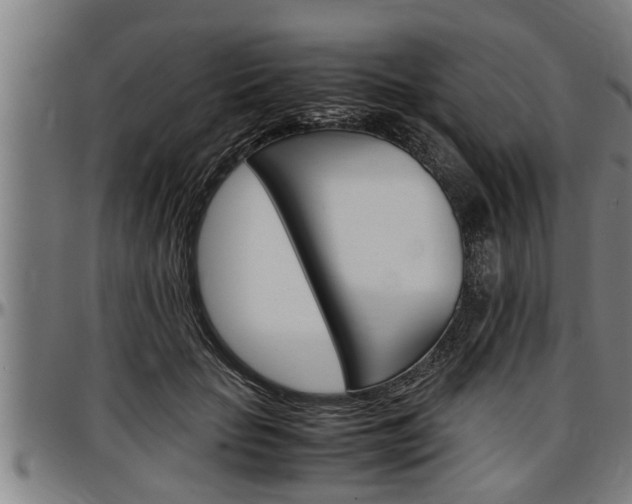 X0000097500653200802220843