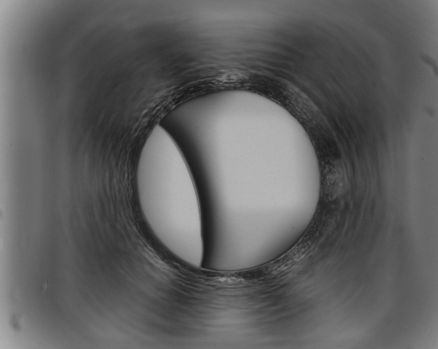 X0000097500654200802220843