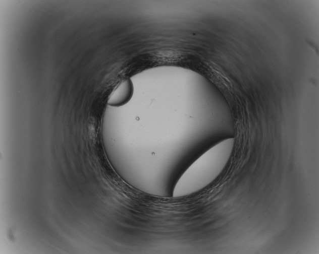 X0000097500655200802220843