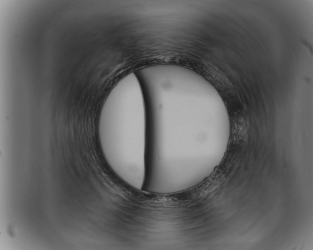 X0000097500656200802220843