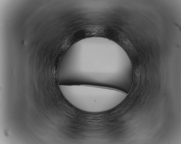 X0000097500657200802220843