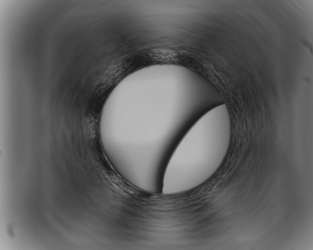 X0000097500658200802220843