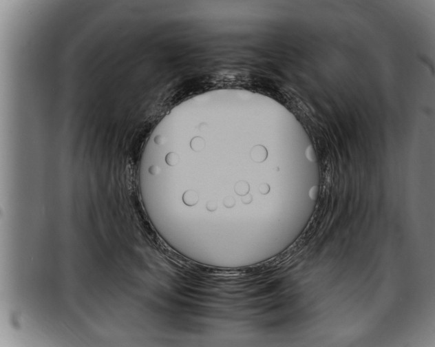 X0000097500659200802220843