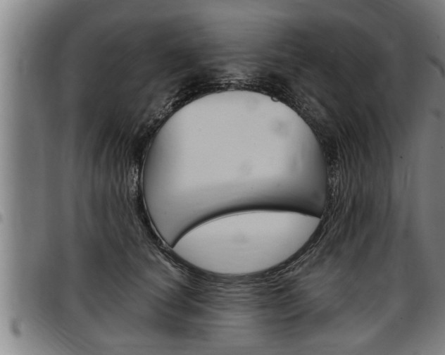X0000097500660200802220843