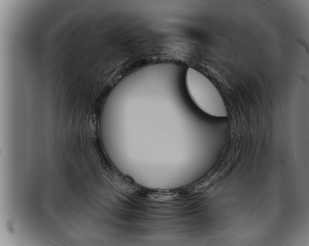 X0000097500661200802220843