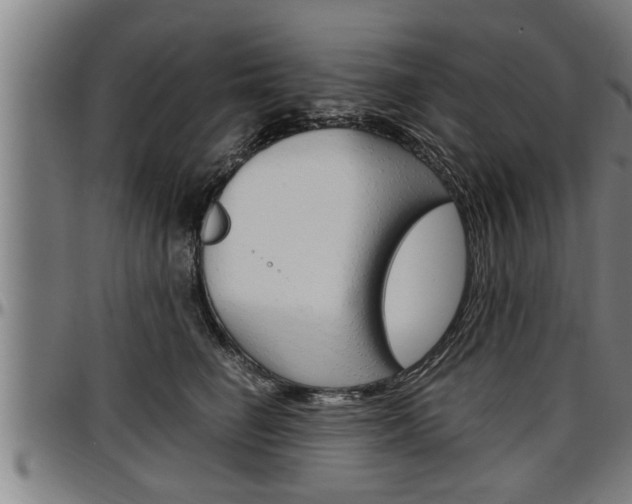 X0000097500662200802220843