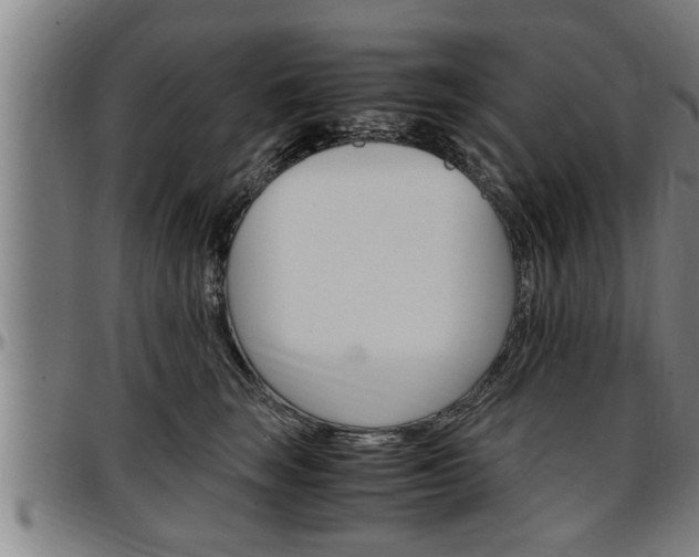 X0000097500663200802220843
