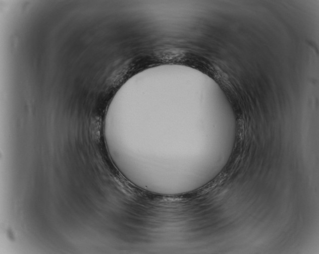 X0000097500664200802220843