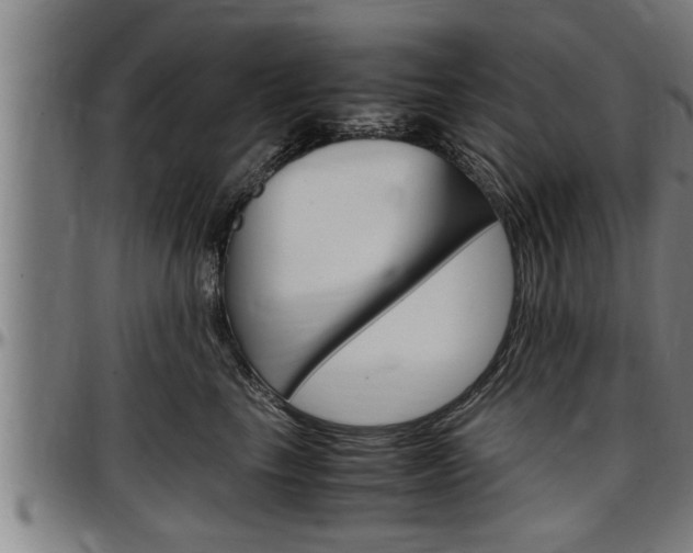 X0000097500665200802220843